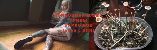 героин Новодвинск