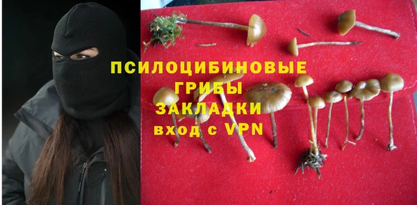 прущая мука Новозыбков