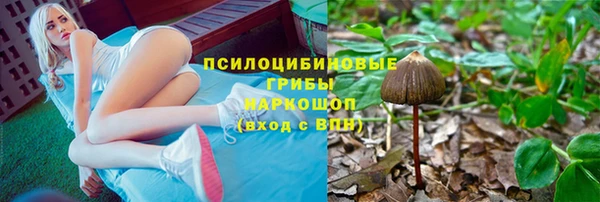 прущая мука Новозыбков