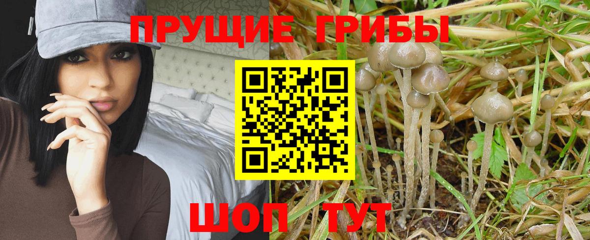 Галлюциногенные грибы MAGIC MUSHROOMS Краснокамск