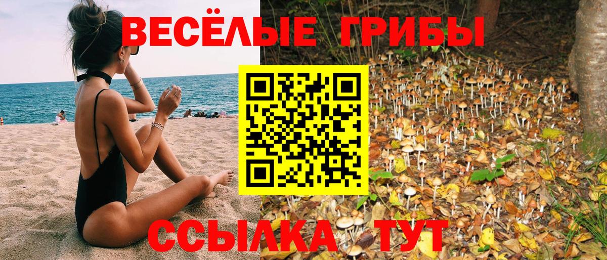 Краснокамск  Галлюциногенные грибы прущие грибы  Вход с VPN  Галлюциногенные грибы Cubensis 